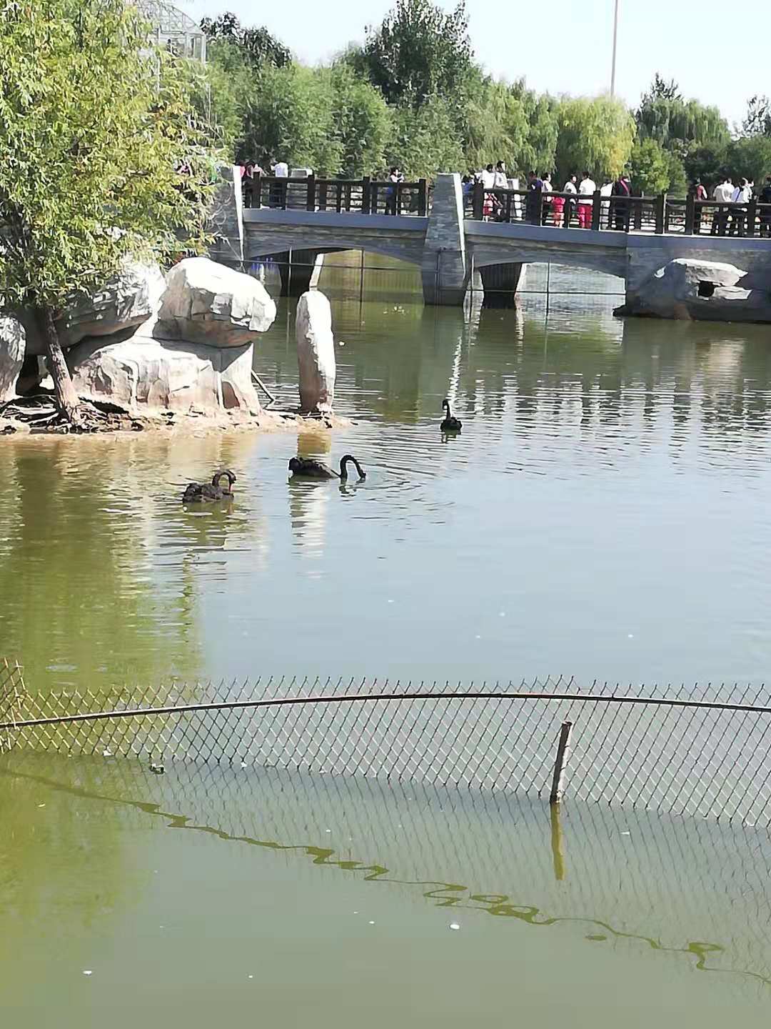 孫文娜動(dòng)植物園